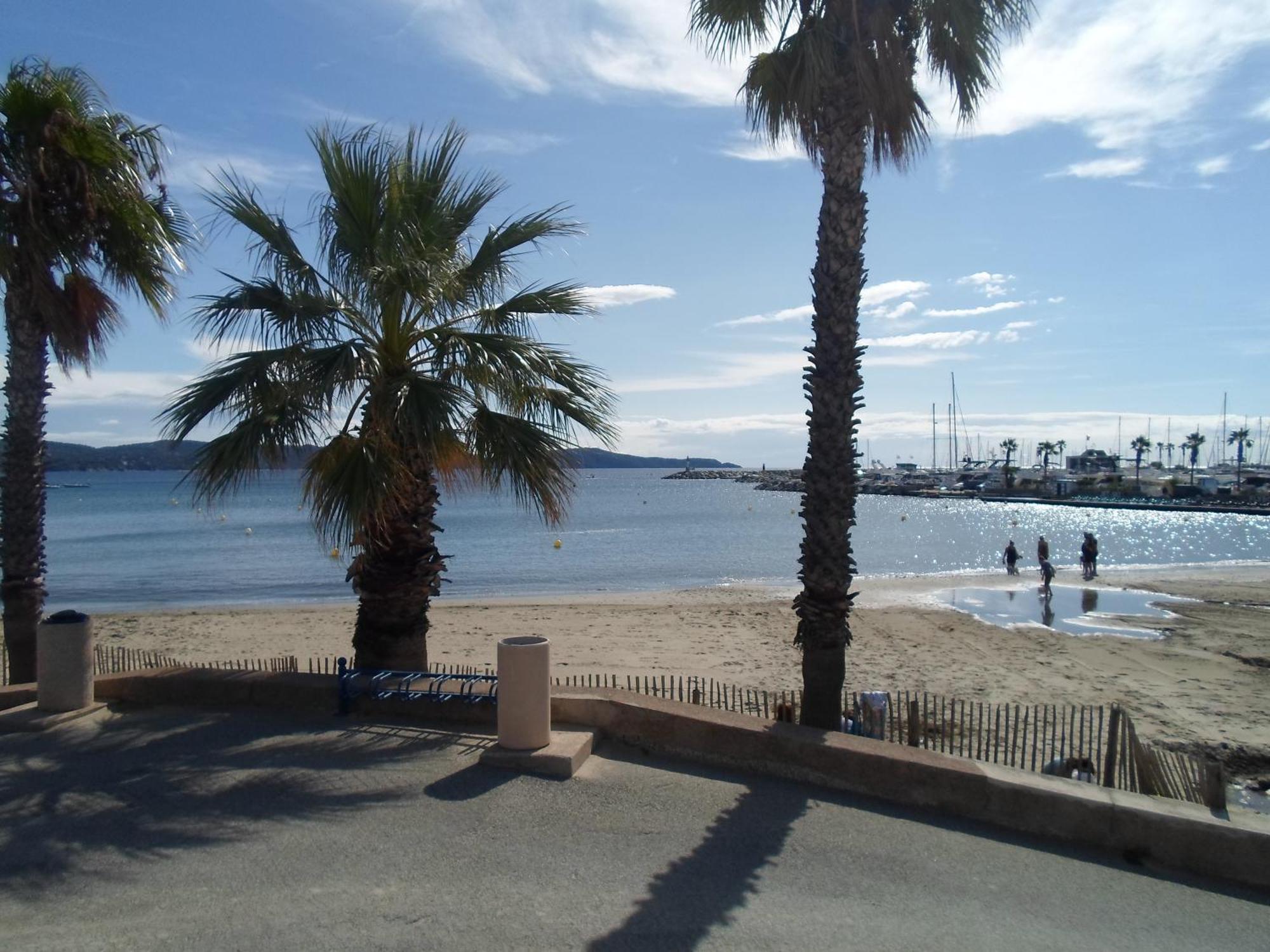 Appart T3 A 50 M De La Plage 滨海卡瓦莱尔 外观 照片